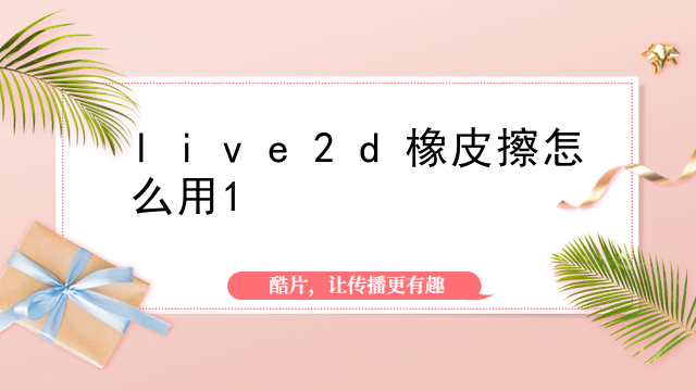 直播制作live2d什么分区