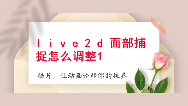 live2d面部捕捉怎么调整